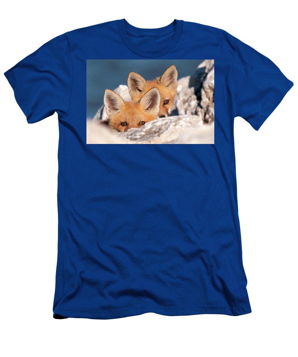 Fox T-Shirt featuring the photograph Kits by Steve Stuller
