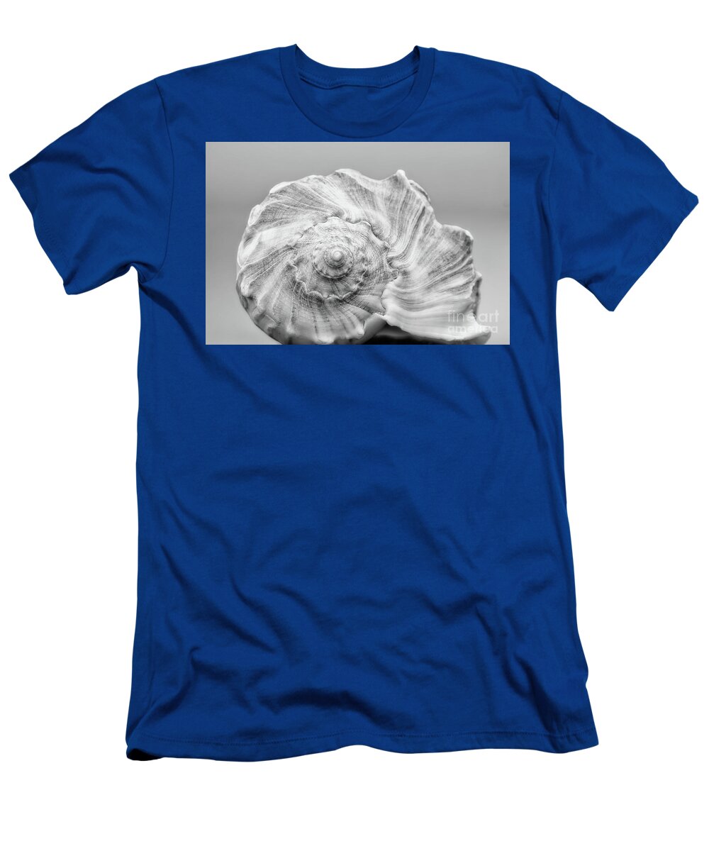 Whelk T-Shirt featuring the photograph Knobbed Whelk by Benanne Stiens