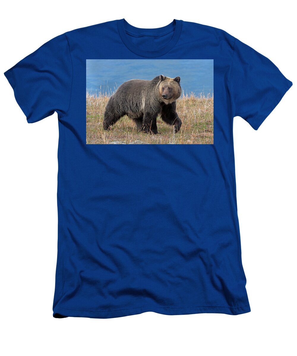 Mark Miller Photos T-Shirt featuring the photograph Lakeside Grizzly by Mark Miller