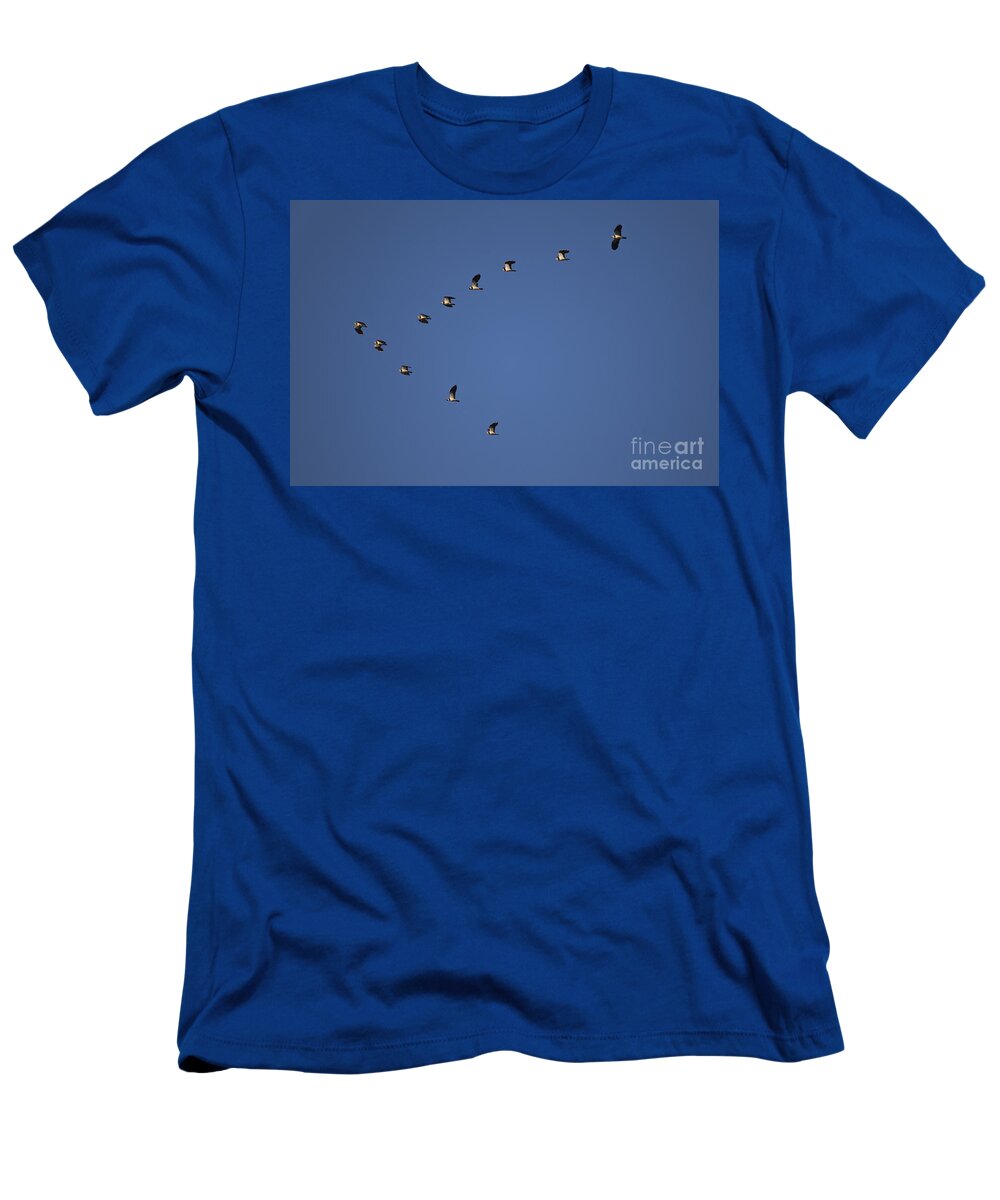 Northern Lapwing T-Shirt featuring the photograph Lapwing Flock by Per-Olov Eriksson