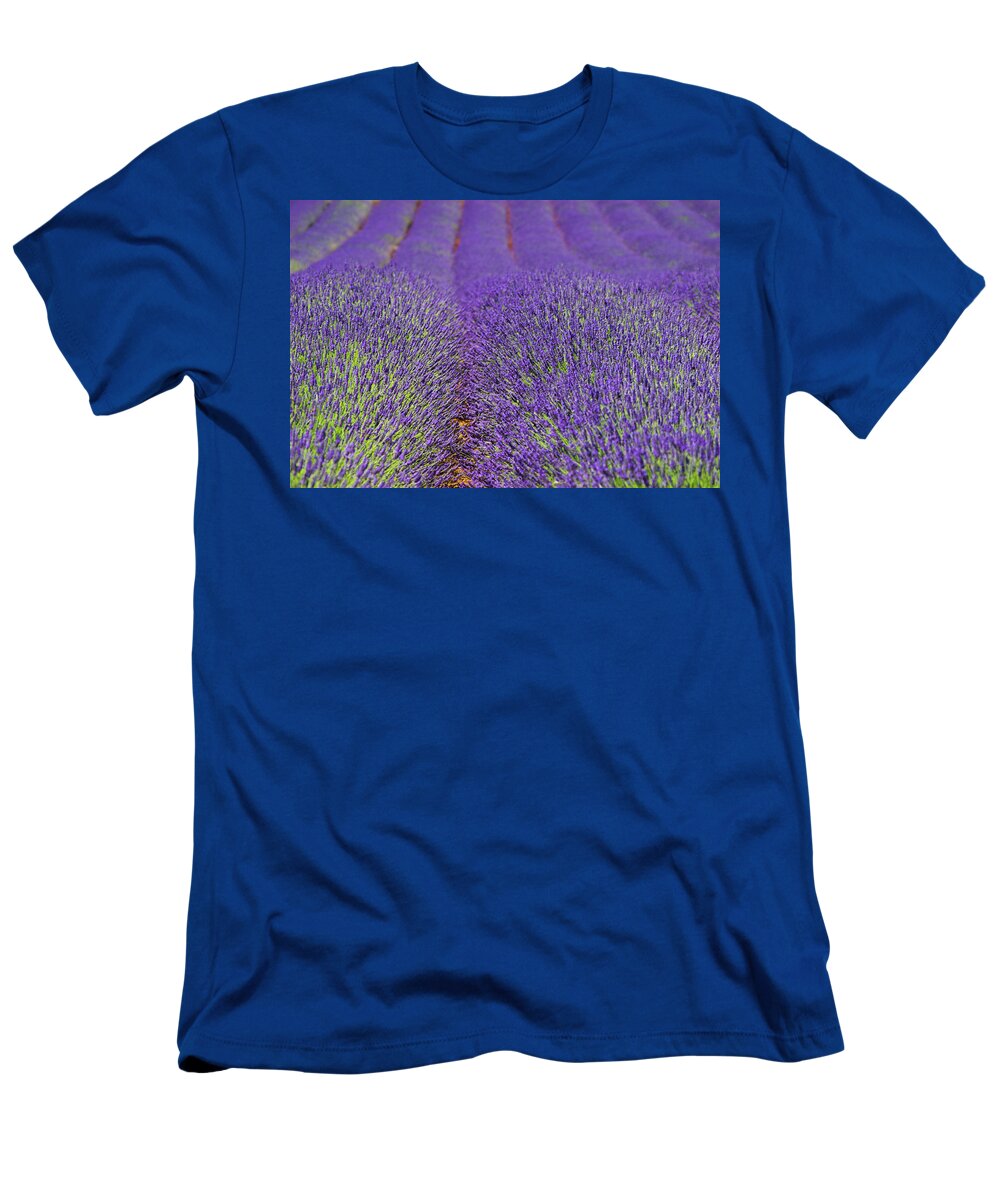 Lavender T-Shirt featuring the photograph Lavender field by Viv Kanharn