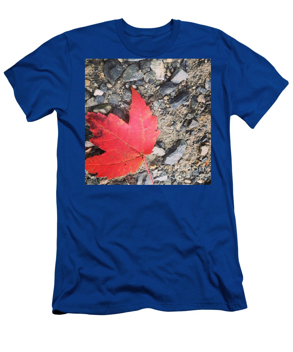 Leaf T-Shirt featuring the photograph Left for Red by Jason Nicholas