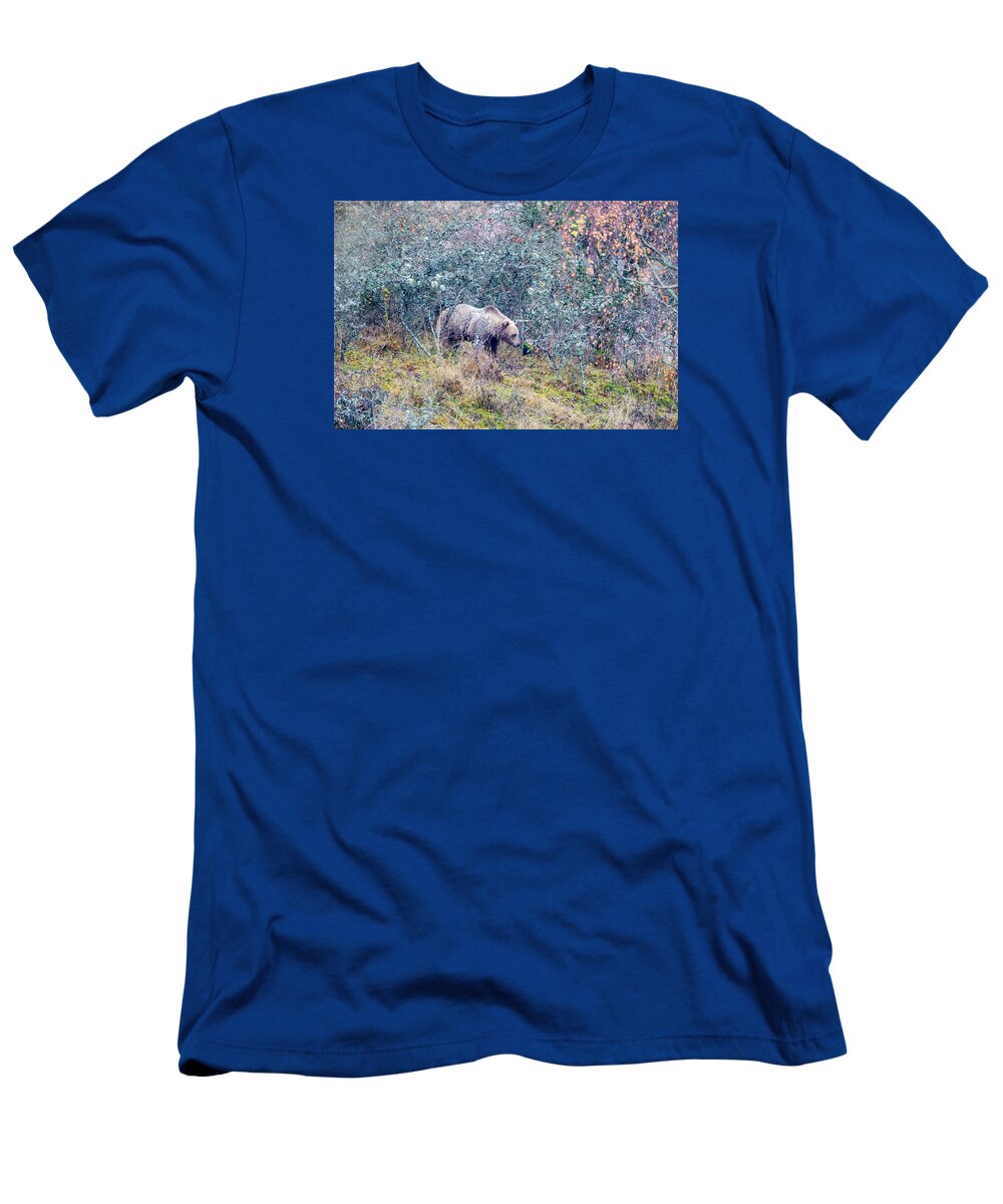Bear T-Shirt featuring the photograph Listening Bear by Torbjorn Swenelius