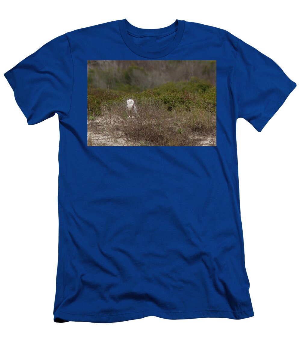 Snowy Owl T-Shirt featuring the photograph Little Talbot Snowbird by Paul Rebmann