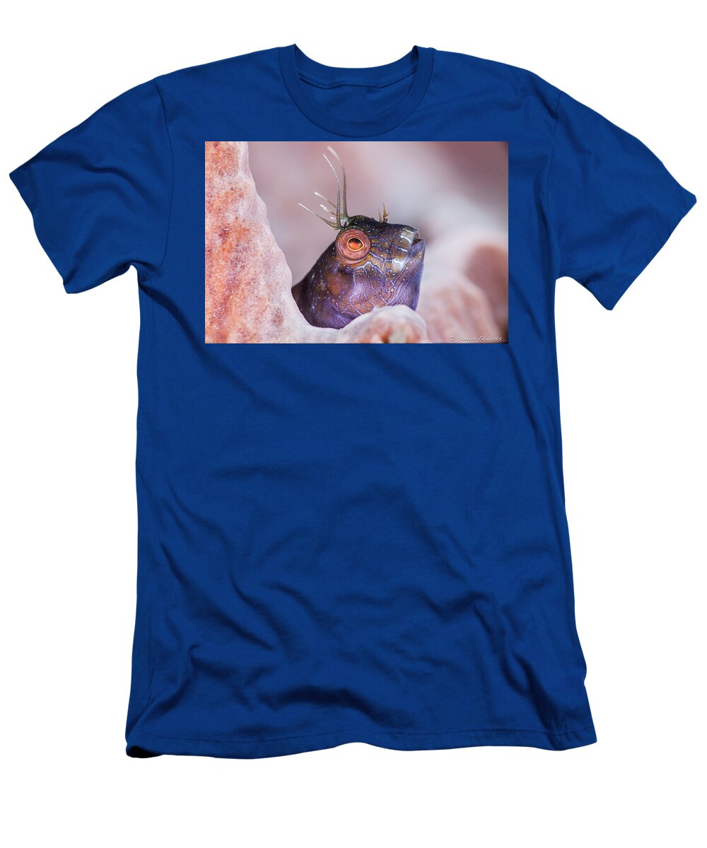 Blenny T-Shirt featuring the photograph Living Spaces by Sandra Edwards