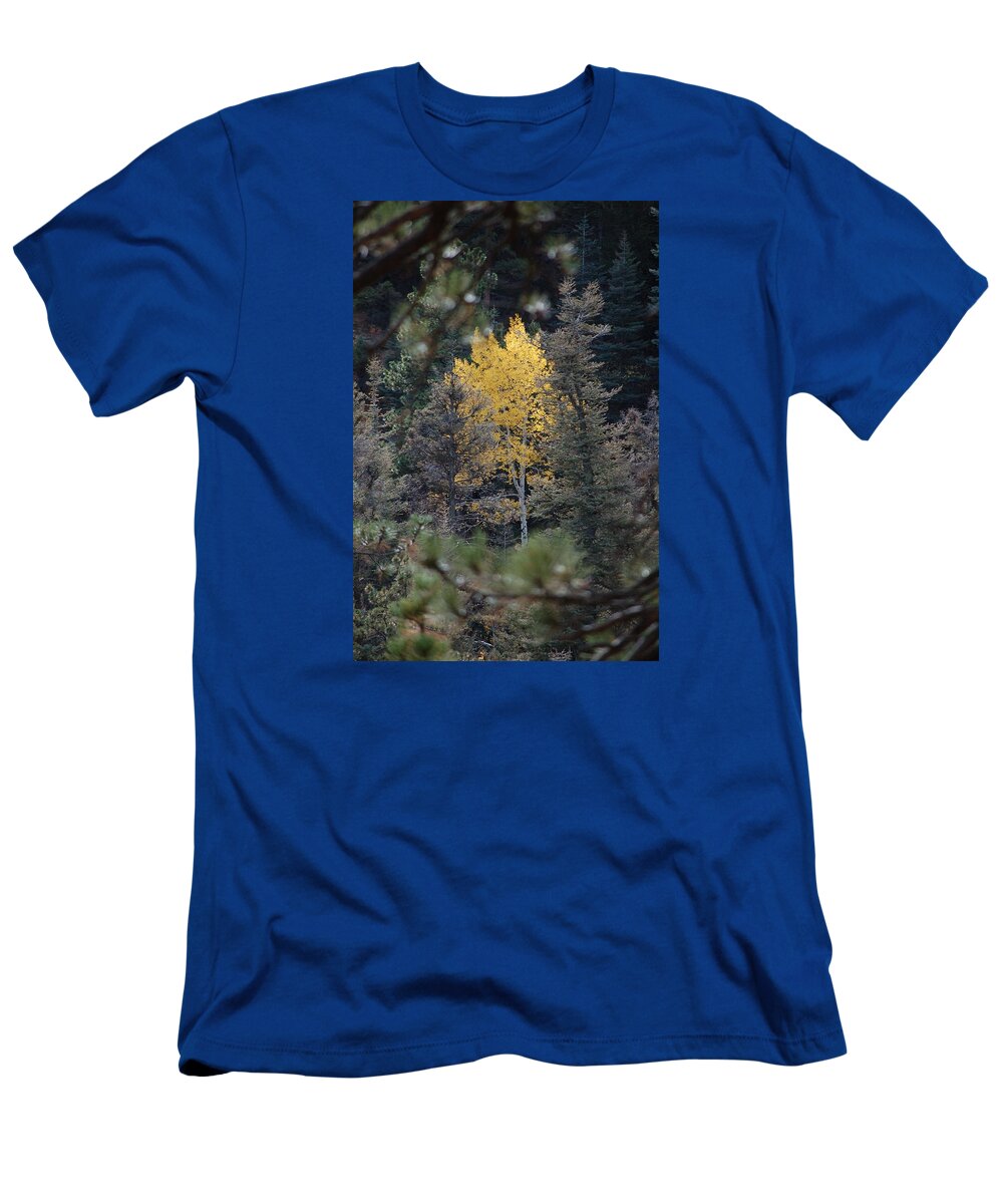 Lone Aspen T-Shirt featuring the photograph Lone Aspen by Jennifer Forsyth