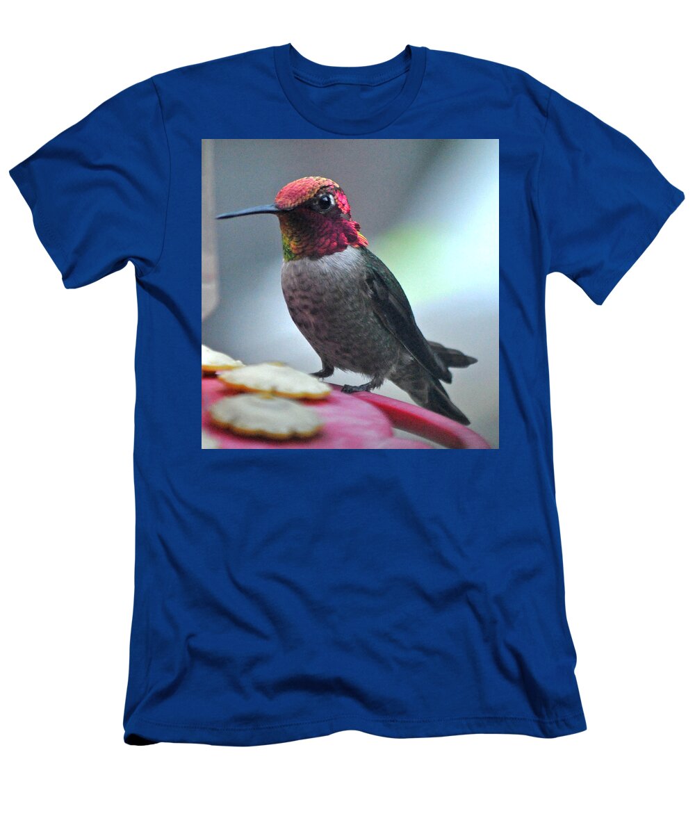 Animal T-Shirt featuring the photograph Male Anna's Hummingbird On Feeder Perch by Jay Milo