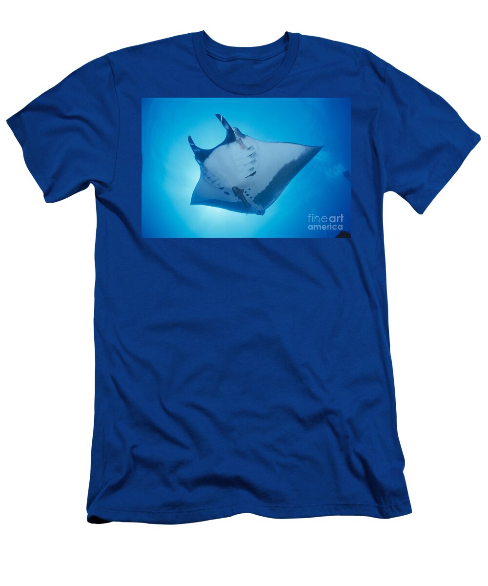 Baja T-Shirt featuring the photograph Manta Ray by Ed Robinson - Printscapes