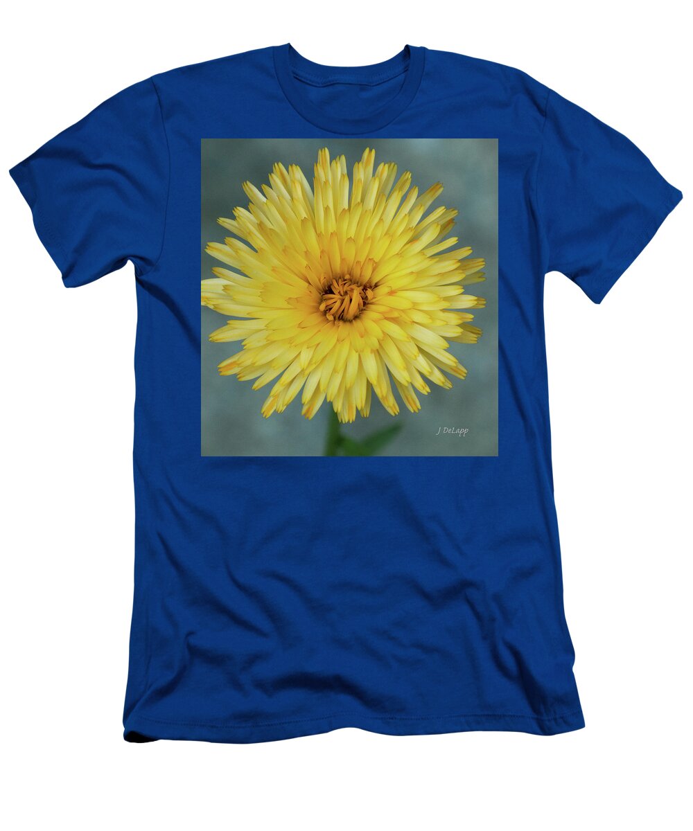 Marigold T-Shirt featuring the photograph Marigold Pacific Beauty V2 by Janet DeLapp
