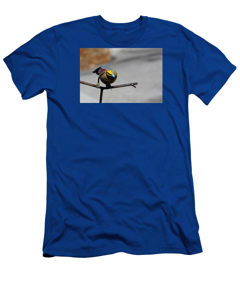 Birds T-Shirt featuring the photograph Metallic Bunting by Richard Patmore