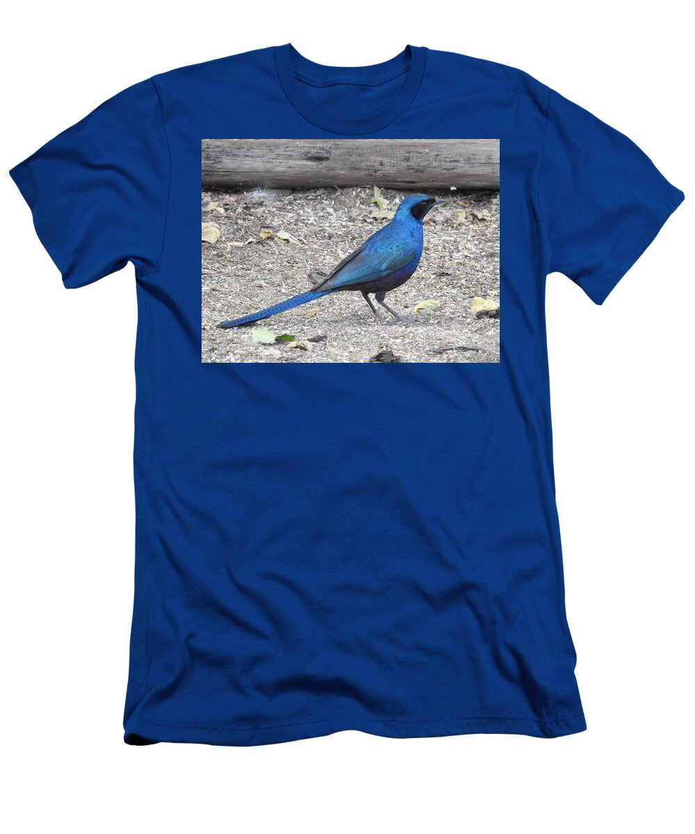 Starling T-Shirt featuring the photograph Meve's Starling by Betty-Anne McDonald