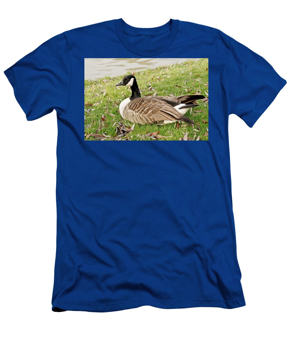 Goose T-Shirt featuring the photograph Modest Beauty by Elena Perelman