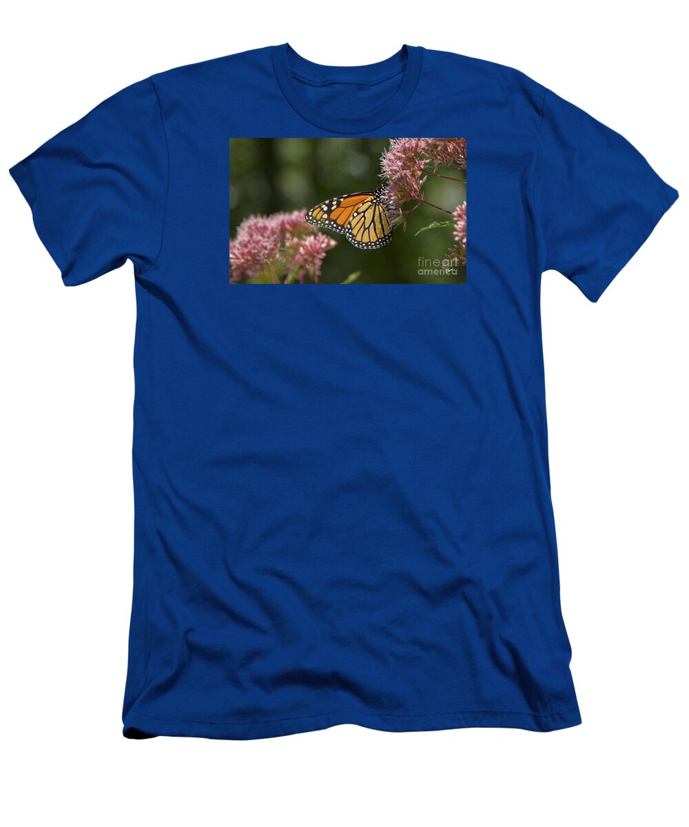 Maine T-Shirt featuring the photograph Monarch Butterfly by Alana Ranney