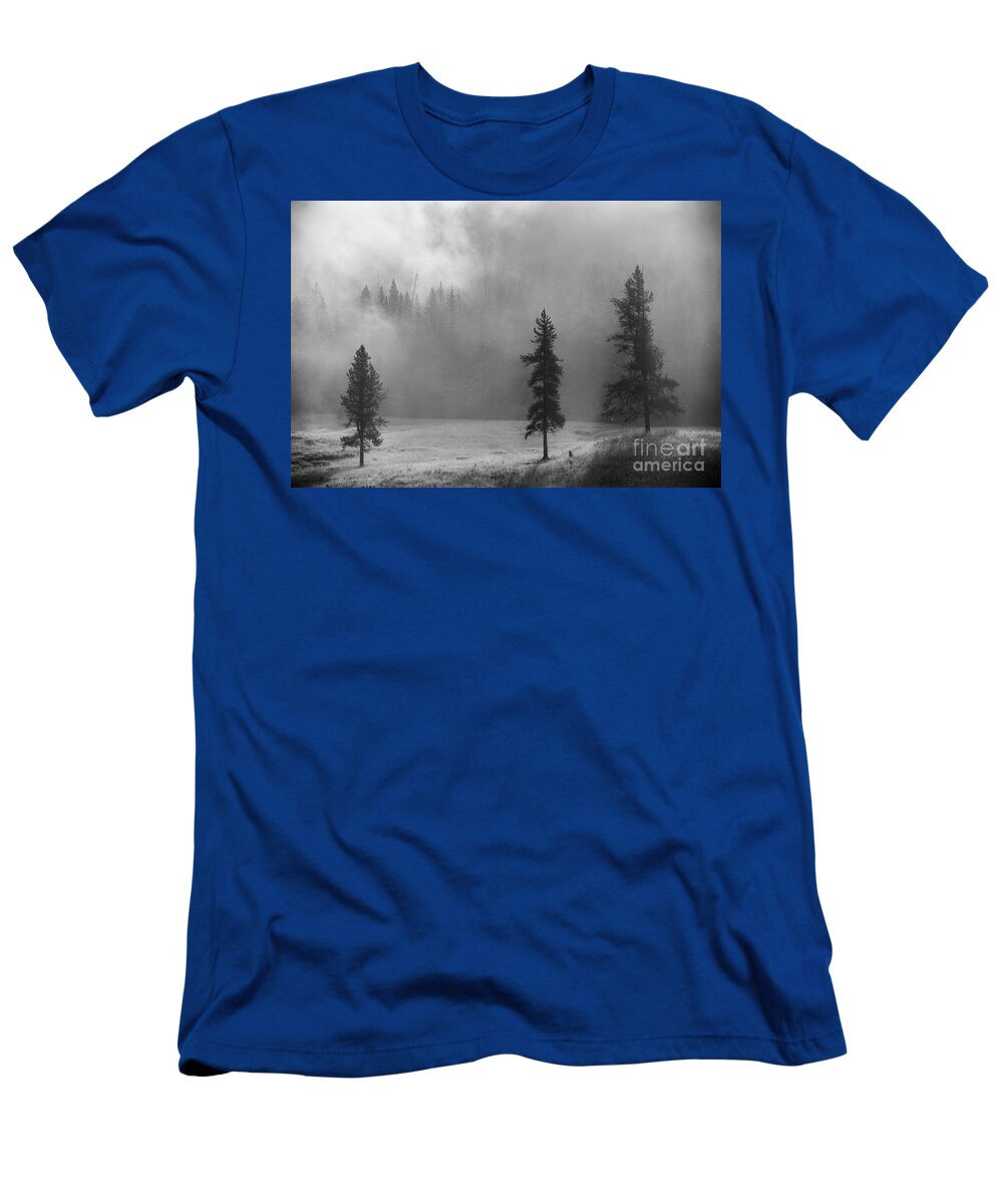 Morning T-Shirt featuring the photograph Morning fog in the woods by Olivier Steiner
