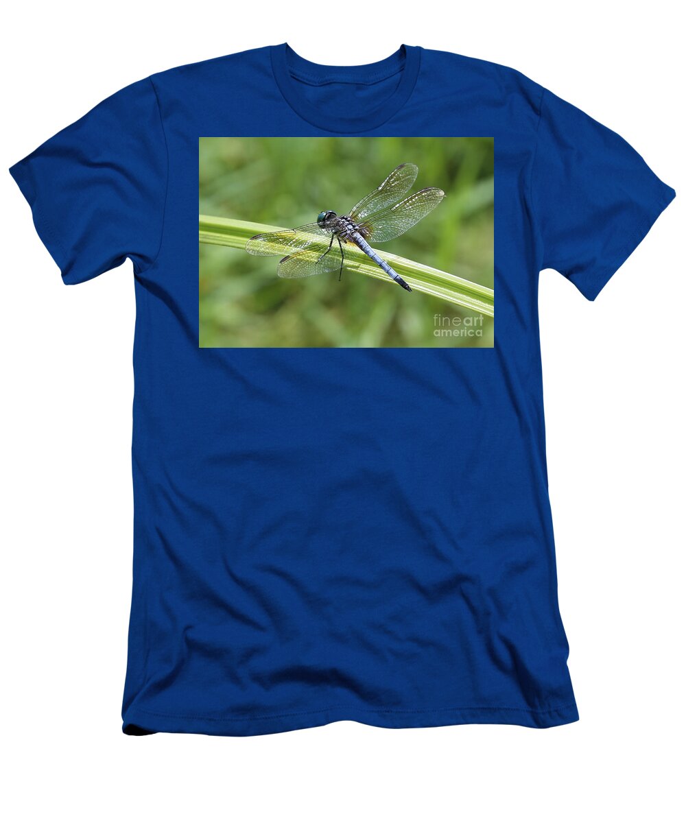 Dragonfly T-Shirt featuring the photograph Nature Macro - Blue Dragonfly by Carol Groenen
