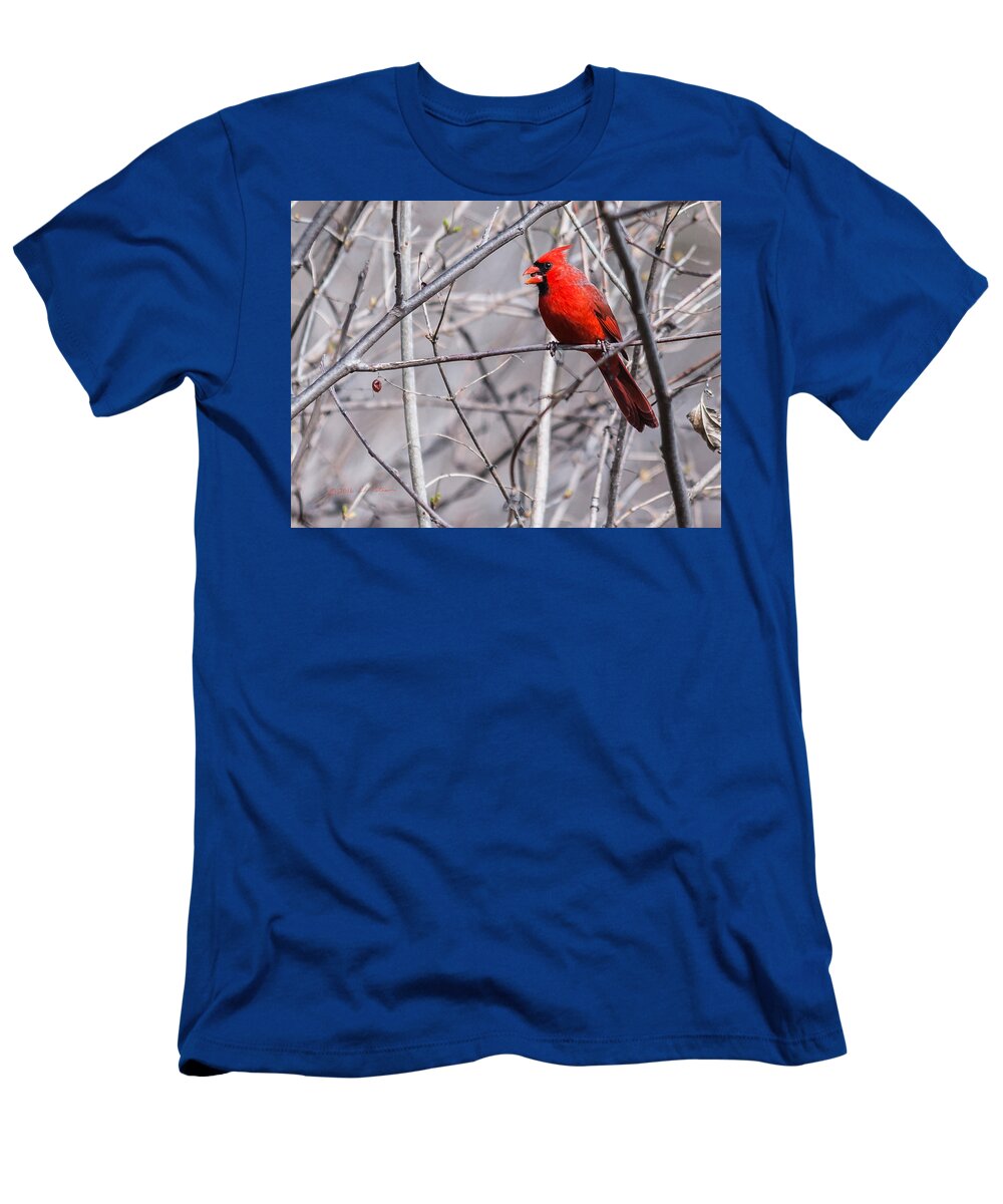 Heron Heaven T-Shirt featuring the photograph Northern Cardinal Feeding by Ed Peterson