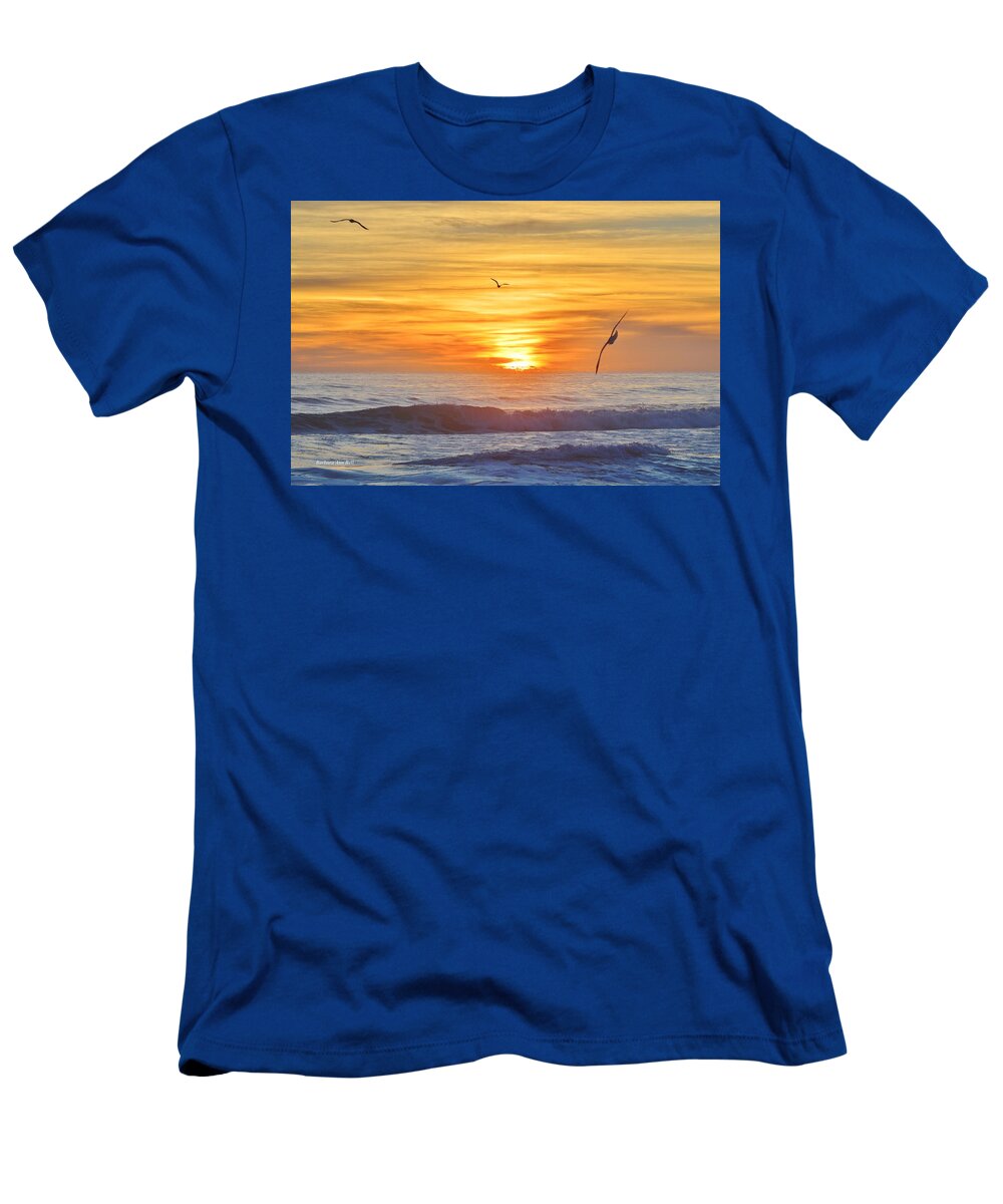 Obx Sunrise T-Shirt featuring the photograph Coquina Beach by Barbara Ann Bell