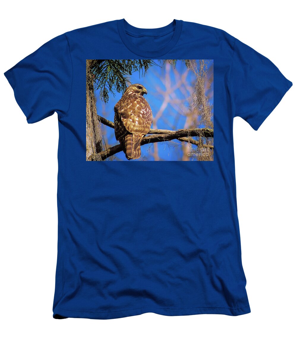Nature T-Shirt featuring the photograph Okefenokee Swamp Red-Tailed Hawk - Buteo Jamaicensis by DB Hayes