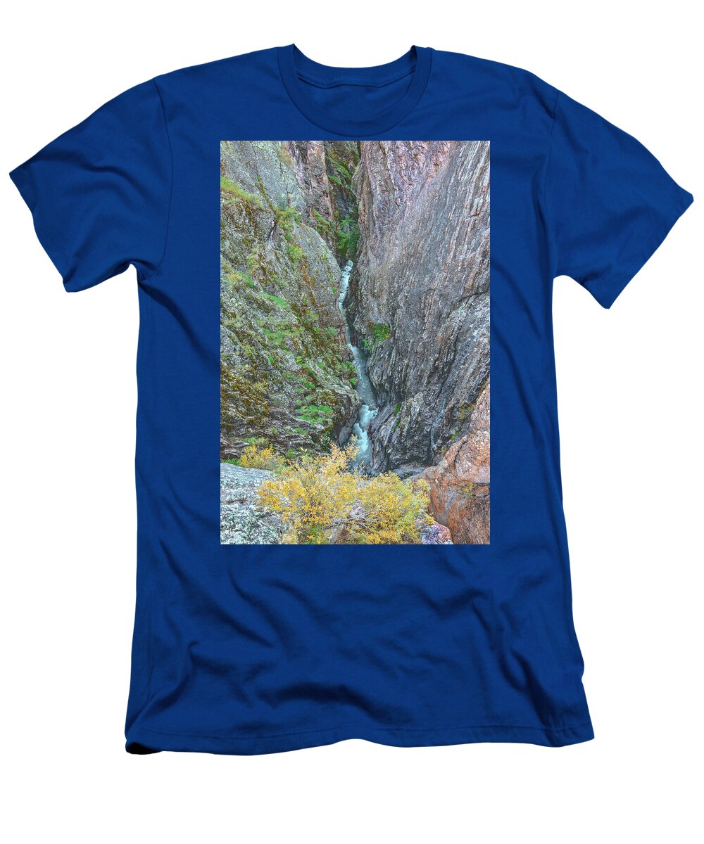 Box Canyon T-Shirt featuring the photograph Once You Label Me, You Negate Me. by Bijan Pirnia