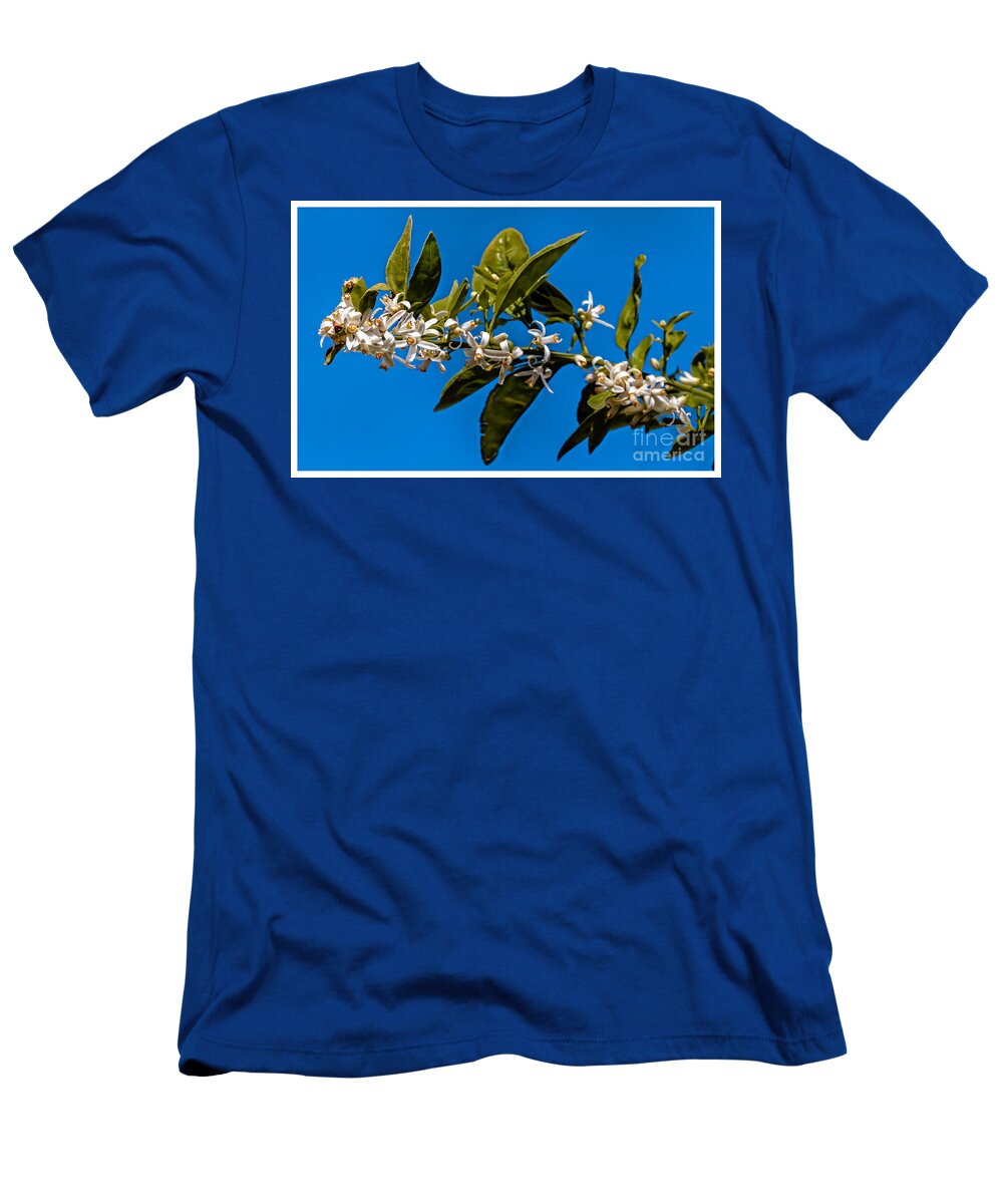 Arizona T-Shirt featuring the photograph Orange Blossoms by Robert Bales