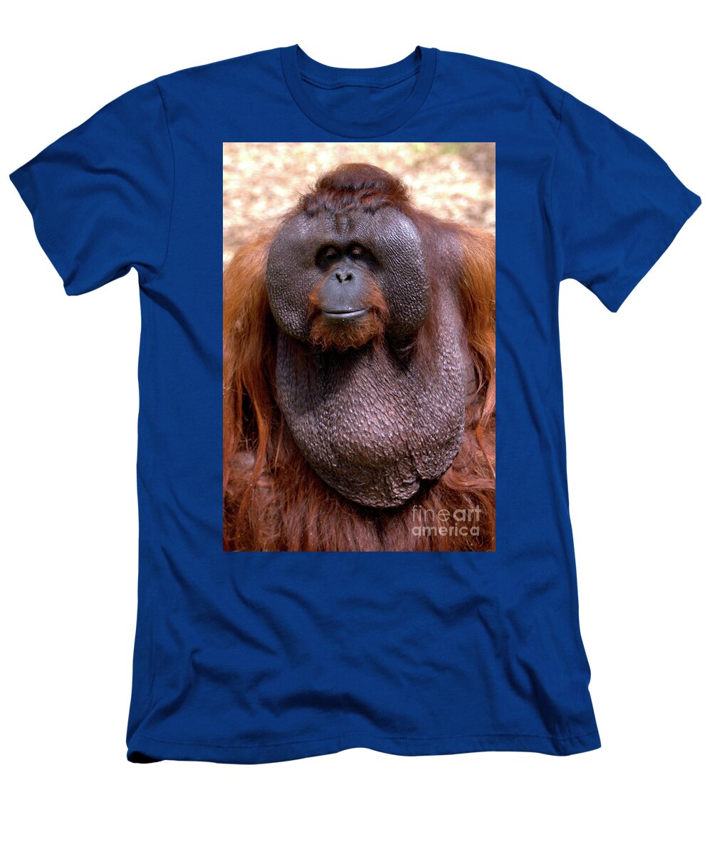 Ape T-Shirt featuring the photograph Orangutan portrait by Stephen Melia