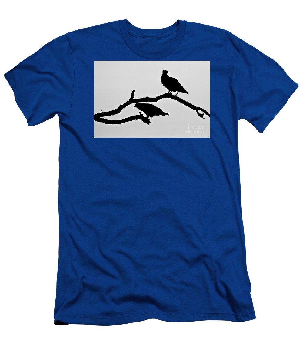Osprey T-Shirt featuring the photograph Osprey Silhouettes by Butch Lombardi