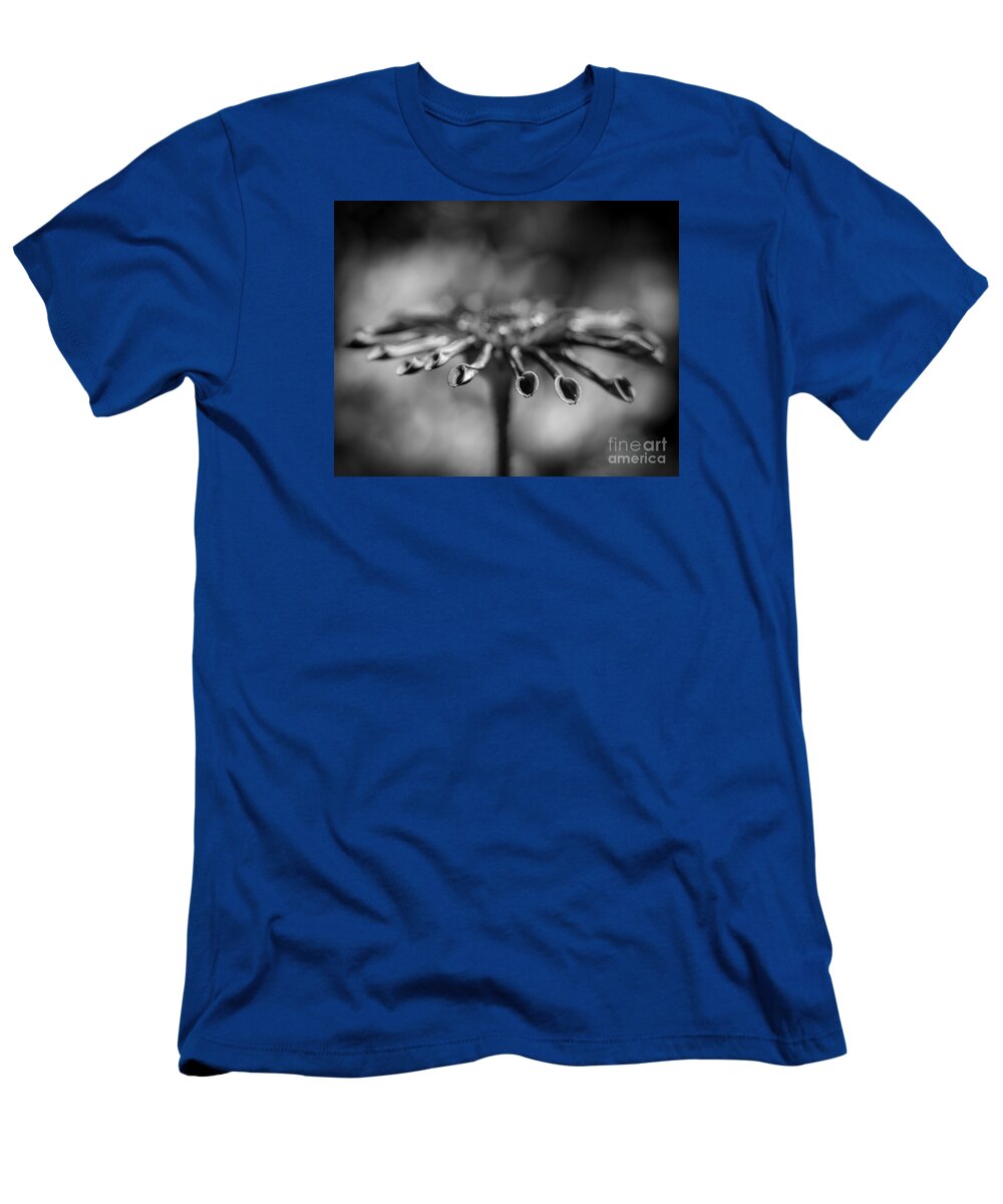 Osteospermum T-Shirt featuring the photograph Osteospermum side by Shawn Jeffries