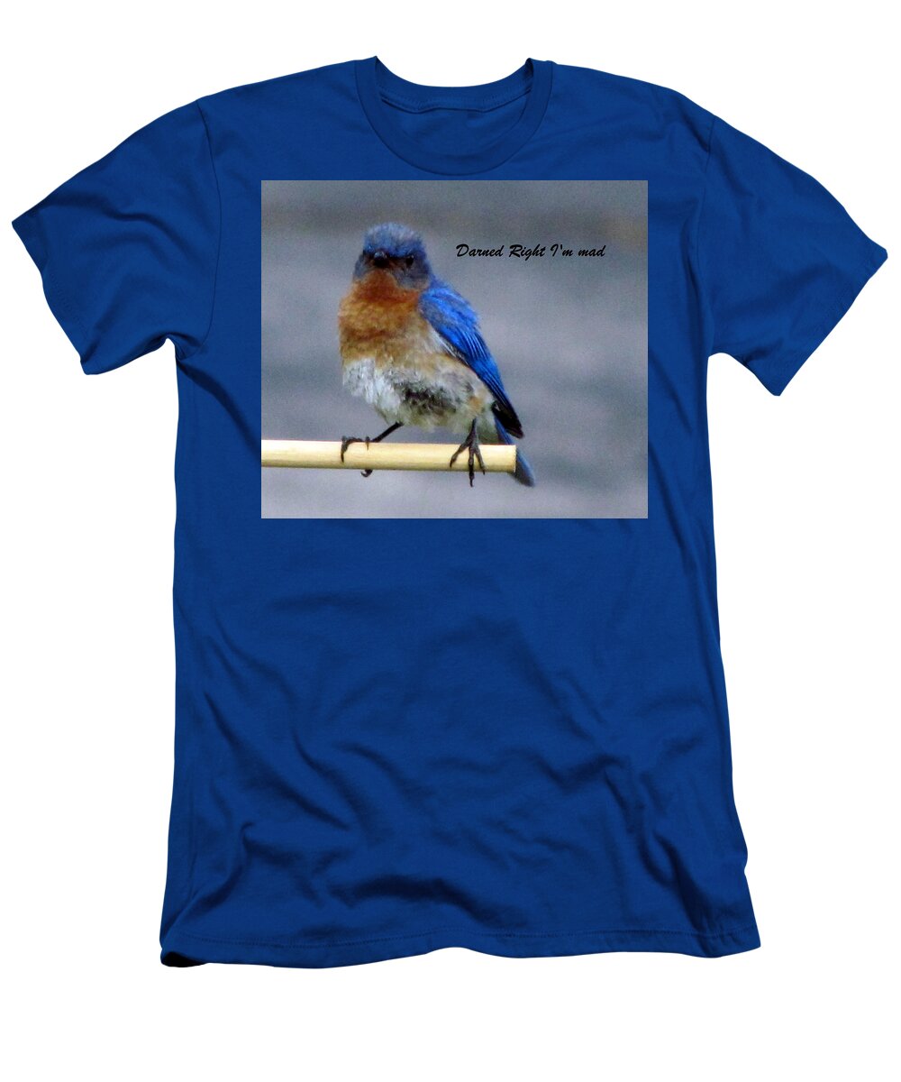 Mad Blue Bird T-Shirt featuring the photograph Our Own Mad Blue Bird by Betty Pieper