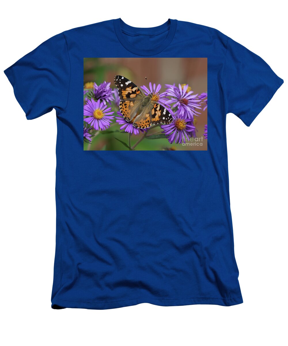 Painted Lady T-Shirt featuring the photograph Painted Lady Butterfly and Aster Flowers 4x3 by Robert E Alter Reflections of Infinity