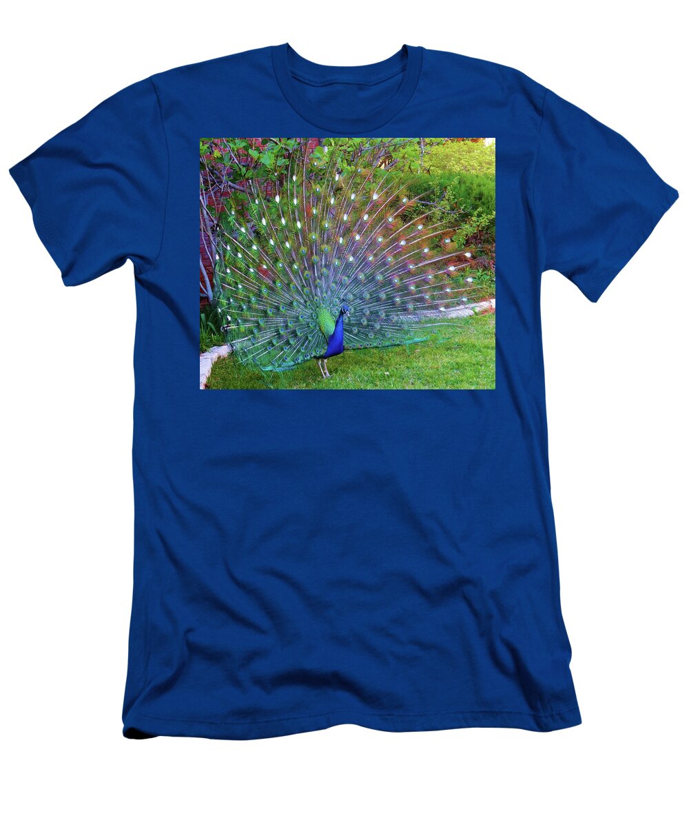 Peacock T-Shirt featuring the photograph Peacock Fan in Full Bloom by Doris Aguirre