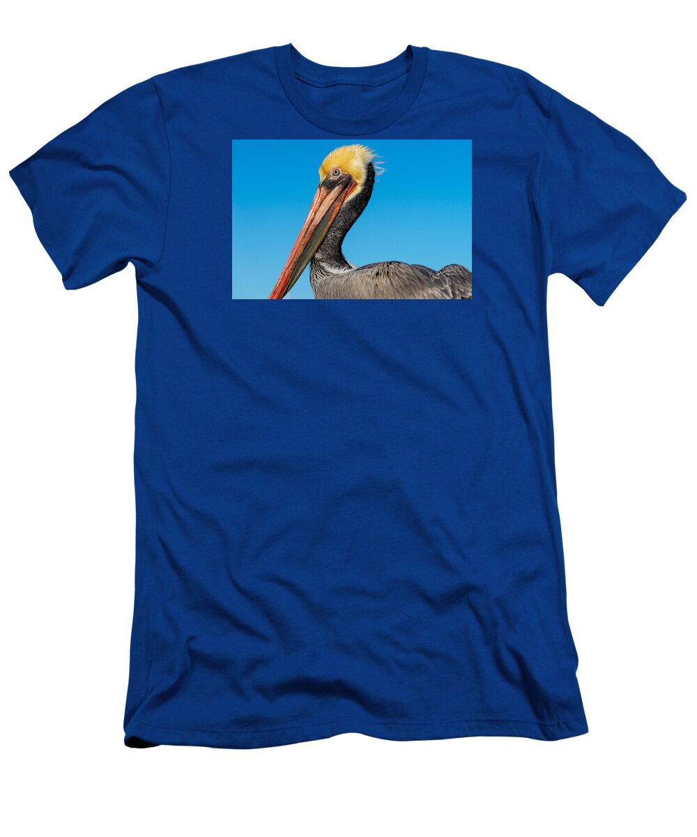 Pelican T-Shirt featuring the photograph Pelican Portrait by Derek Dean