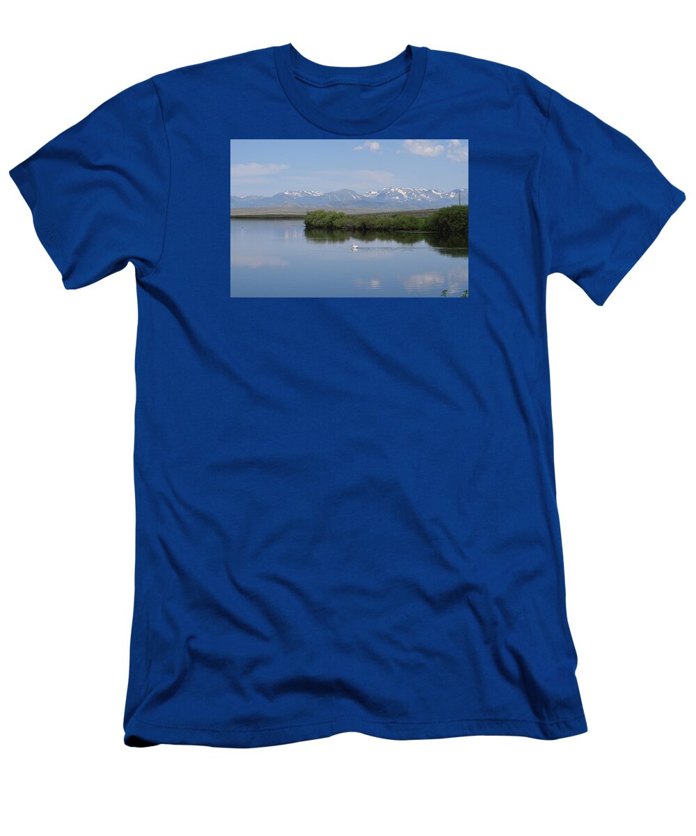 Animal T-Shirt featuring the photograph Pelicans Walden Res Walden CO by Margarethe Binkley