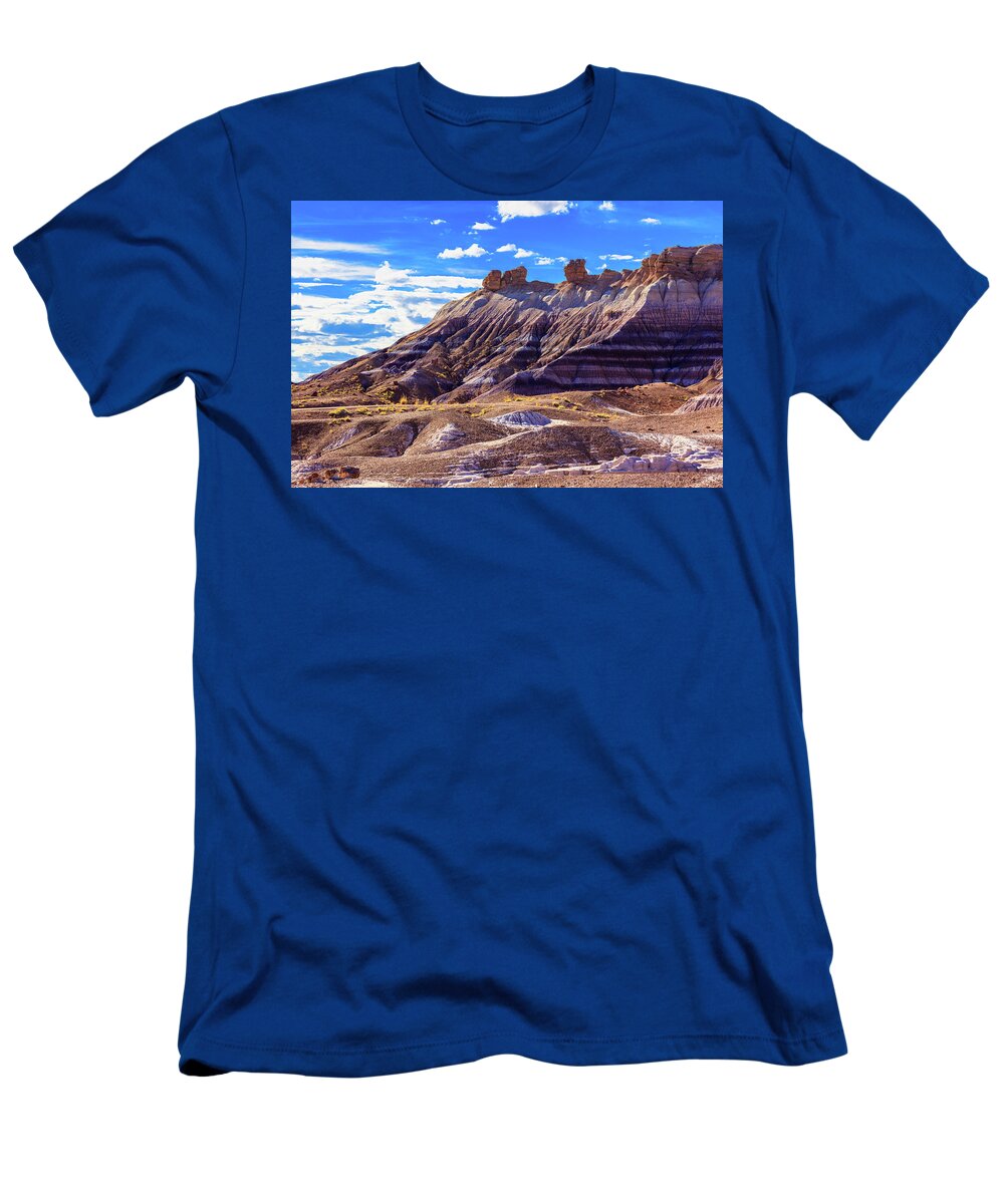 Arizona T-Shirt featuring the photograph Petrified Forest V by Raul Rodriguez