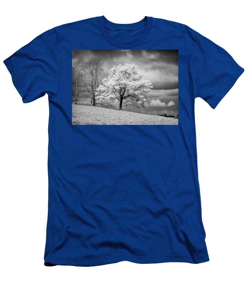 Tree T-Shirt featuring the photograph Petworth Tree by Michael Hope