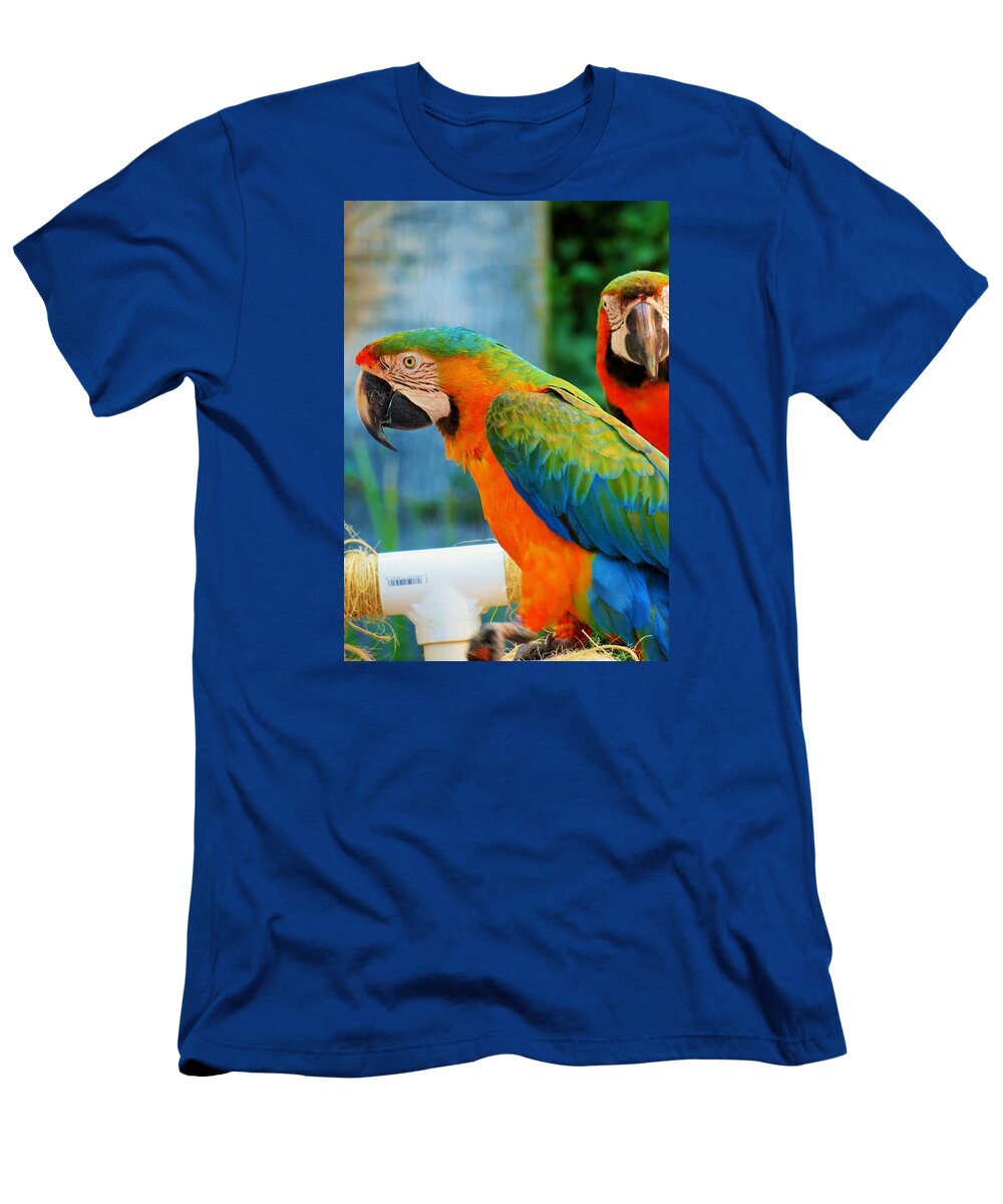 Parrots T-Shirt featuring the photograph Picture Perfect Parrots by Vijay Sharon Govender