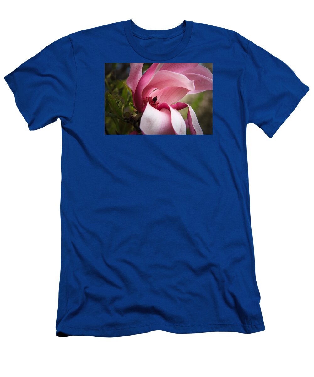 Morton Arboretum T-Shirt featuring the photograph Pink and white magnolia by Joni Eskridge
