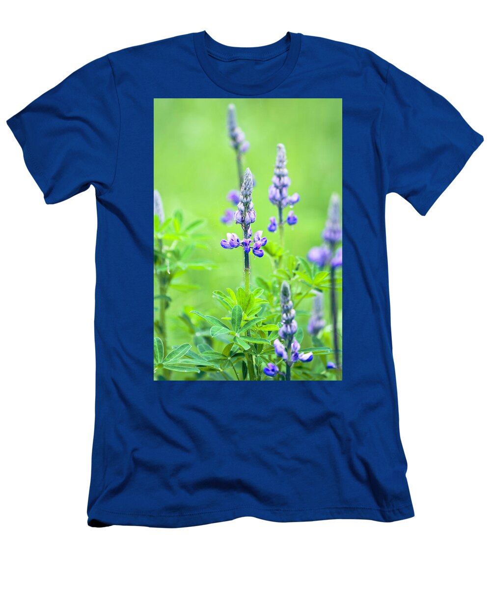 Fabaceae T-Shirt featuring the photograph Lupine with Web by Paul Riedinger