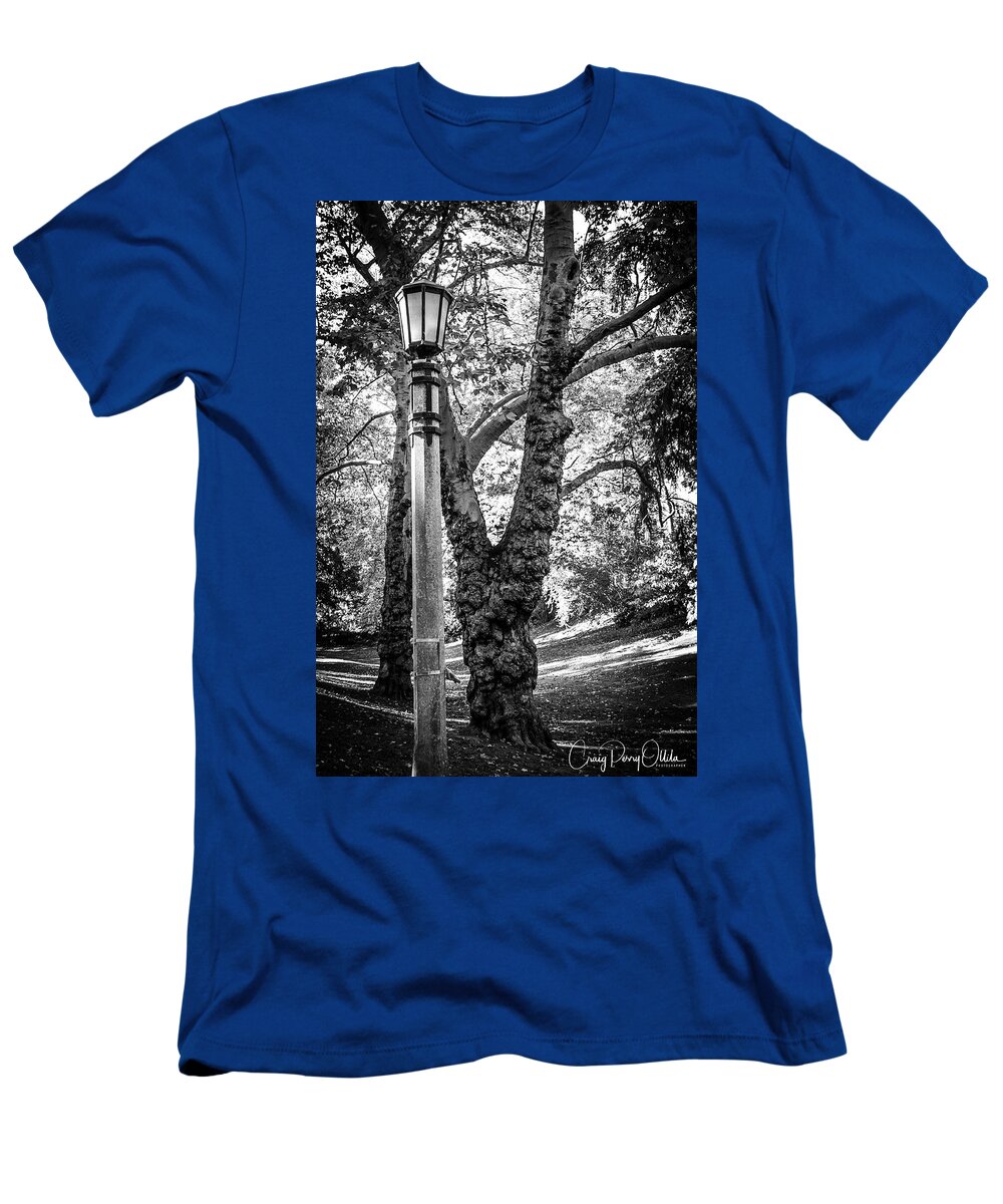 Portland T-Shirt featuring the photograph Portland Park Walk by Craig Perry-Ollila