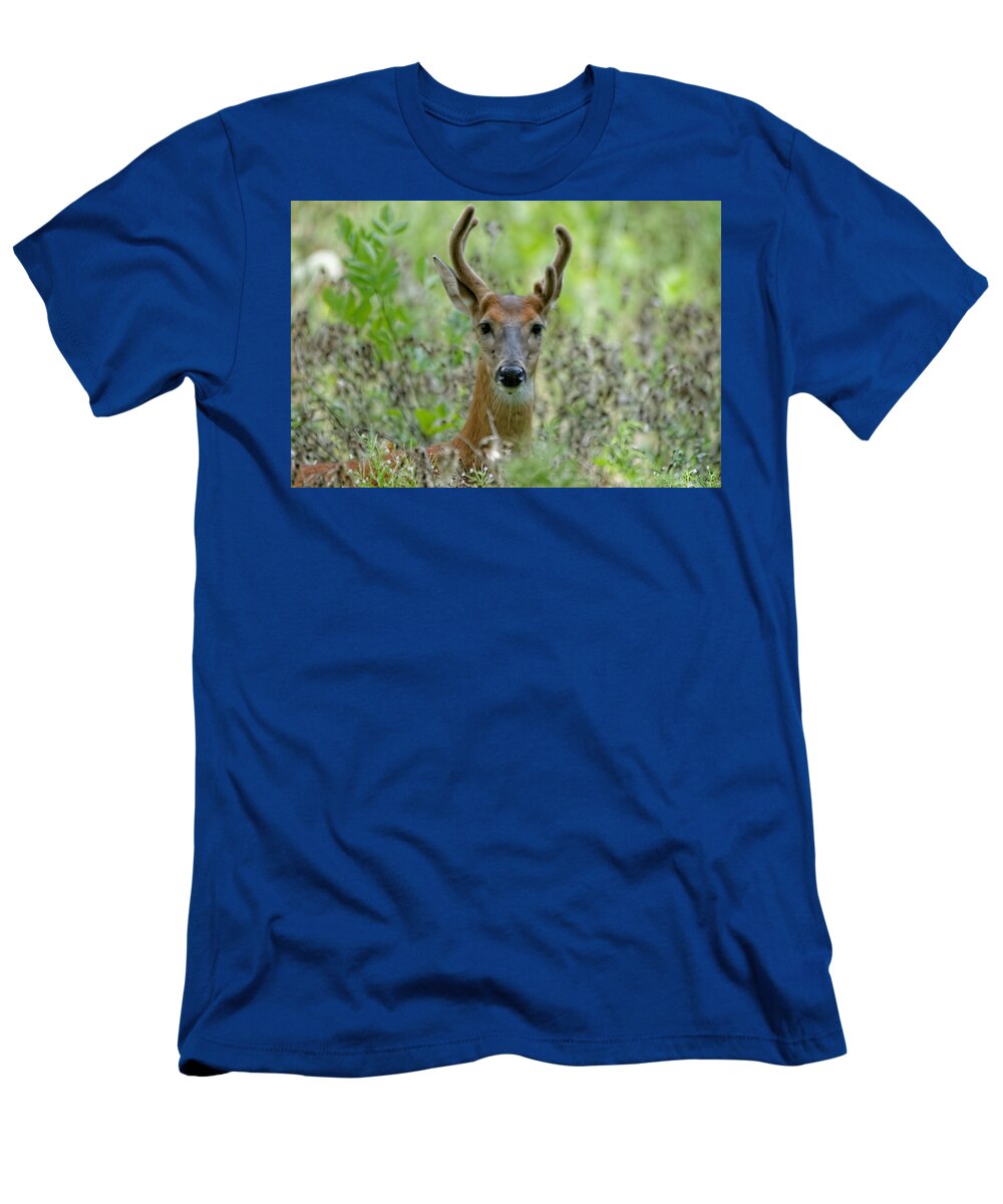 Deer T-Shirt featuring the photograph Portriat of Male Deer by Peter Ponzio