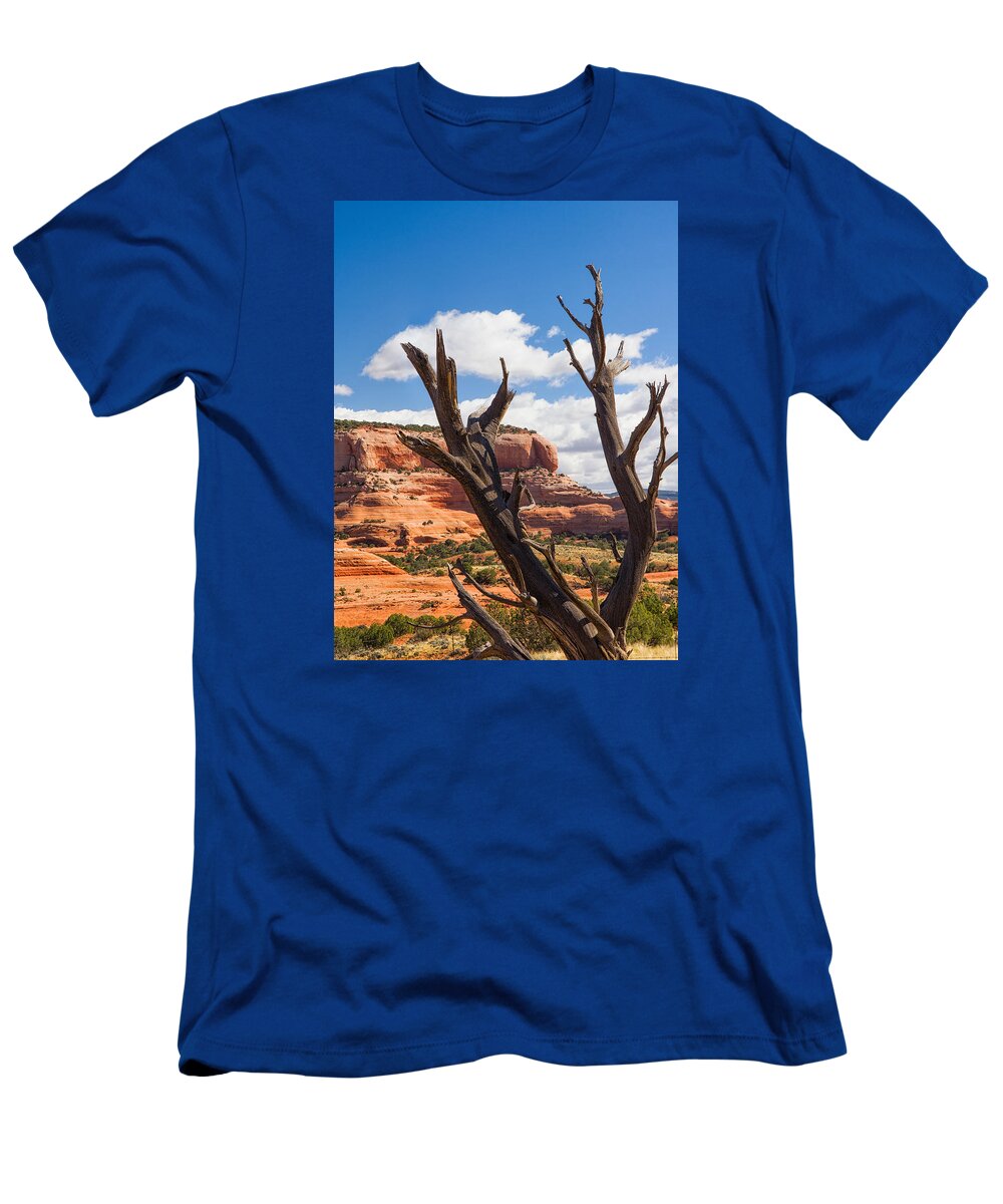 Utah T-Shirt featuring the photograph Preserved by Daniel George