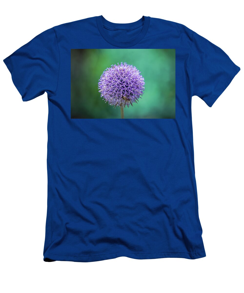 Purple T-Shirt featuring the photograph Purple Alliums flower by Lilia S