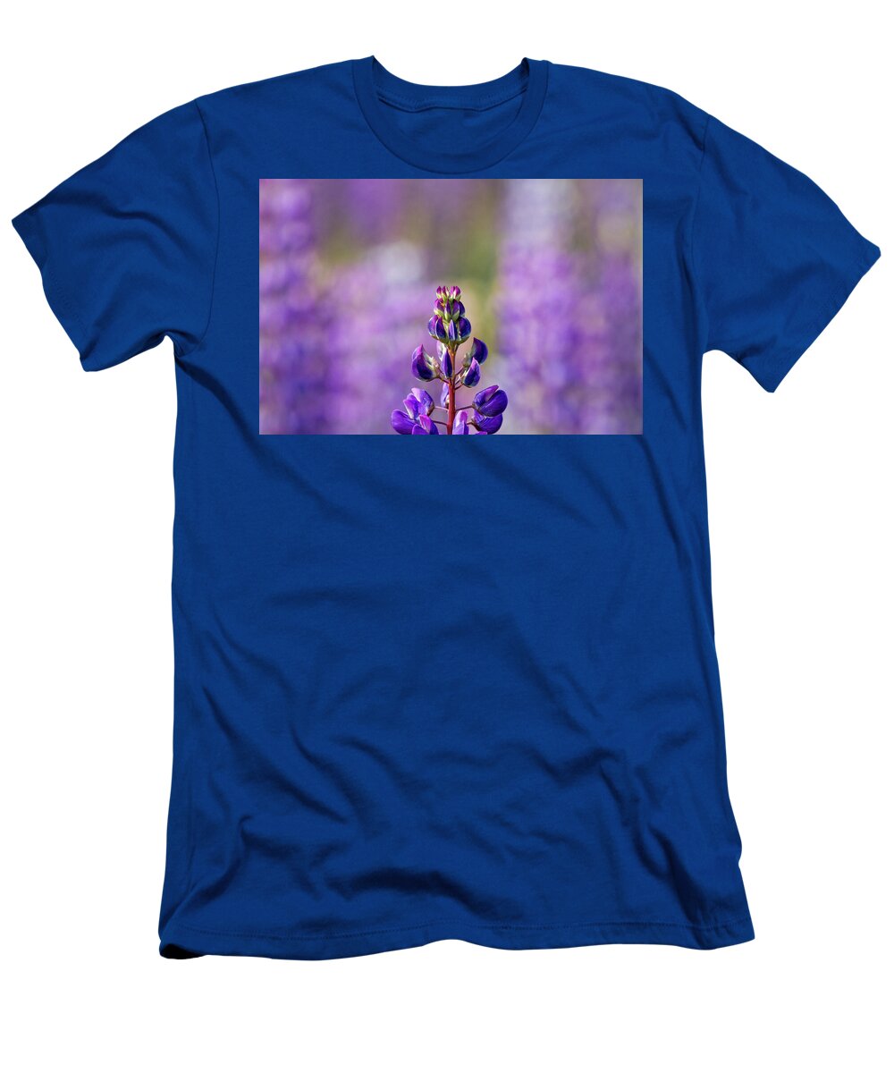 Flowers T-Shirt featuring the photograph Purple by Darryl Hendricks