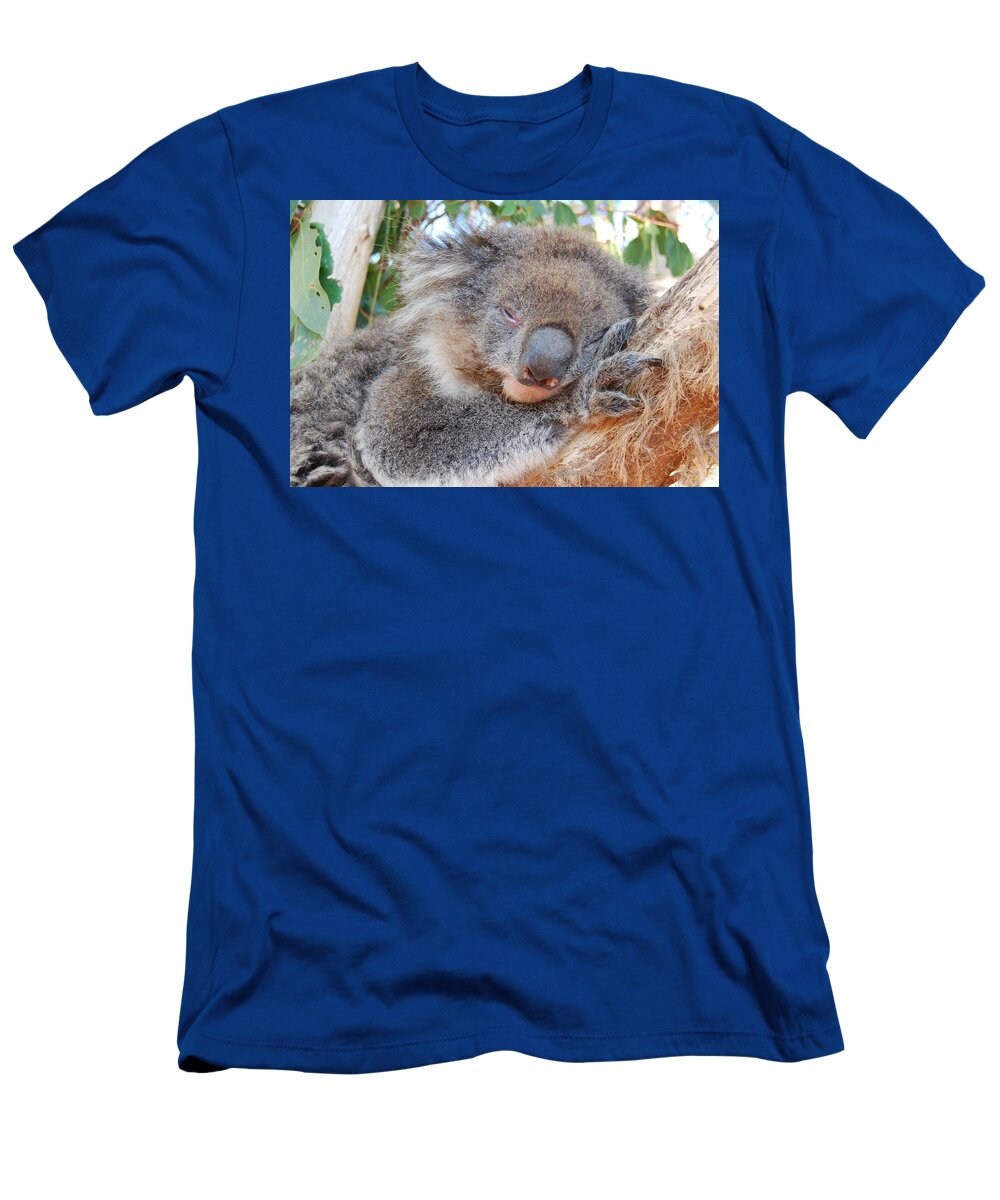 Koala T-Shirt featuring the photograph Koala by AJ Harlan