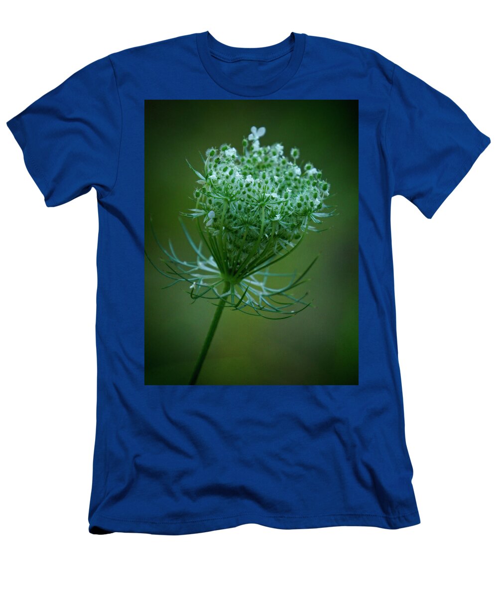 Queen Annes Lace T-Shirt featuring the photograph Queen Annes Lace - 365-164 by Inge Riis McDonald