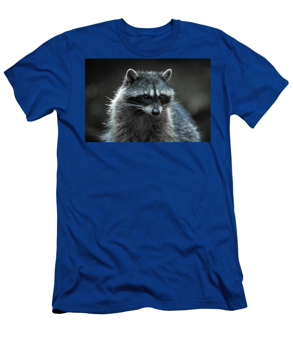 Wildlife T-Shirt featuring the photograph Raccoon 2 by Jason Brooks