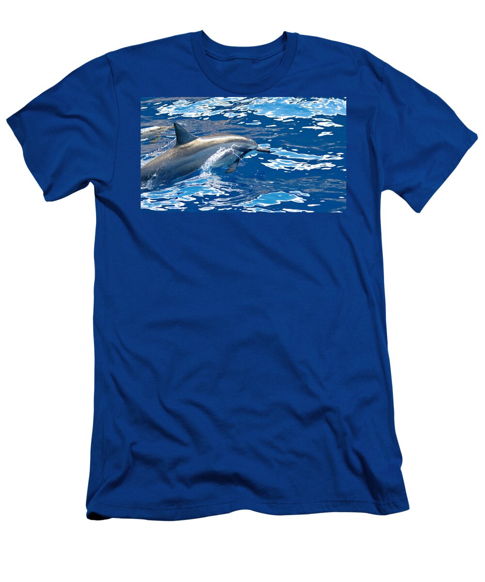 Spinner Dolphin T-Shirt featuring the photograph Race You by Susan Rissi Tregoning