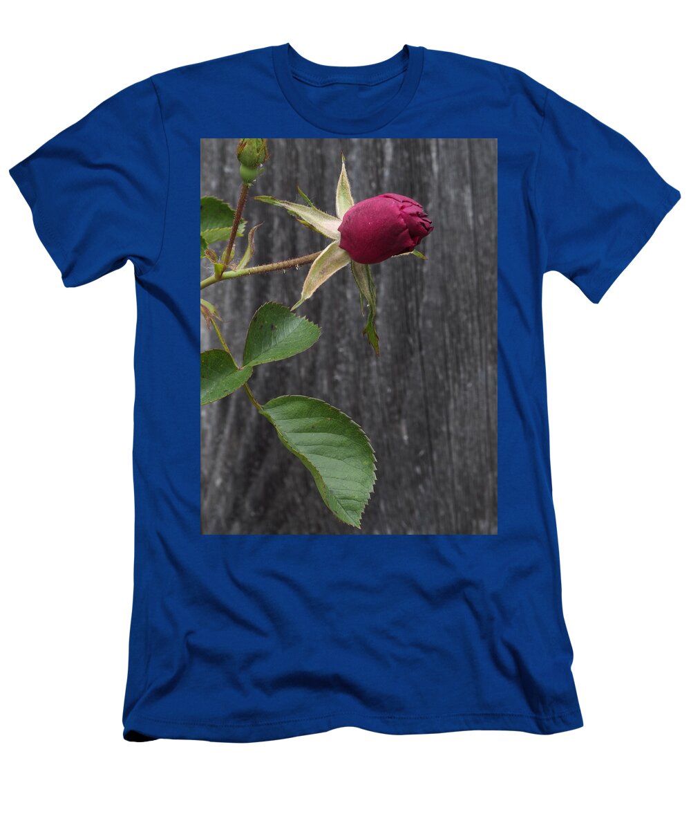 Botanical T-Shirt featuring the photograph Red Rose Bud by Richard Thomas