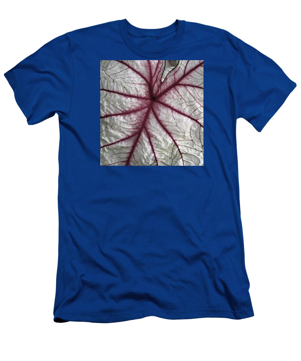 Red T-Shirt featuring the photograph Red Veined Leaf by Bob Neiman