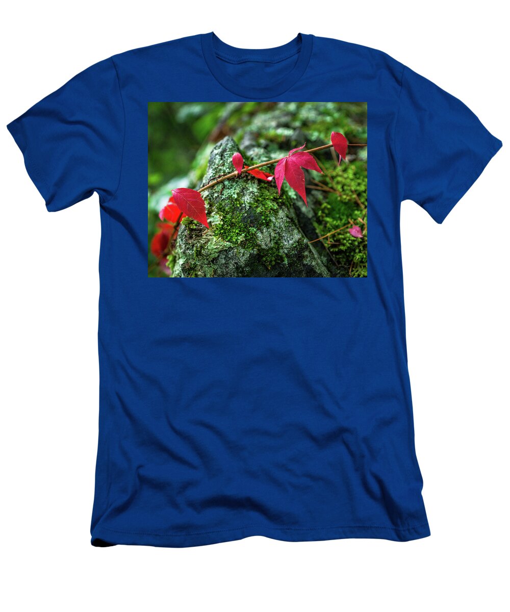 Fall T-Shirt featuring the photograph Red Vine by Bill Pevlor