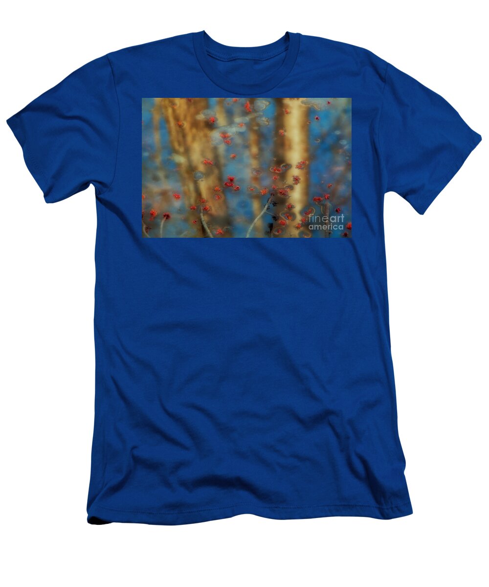 Trees T-Shirt featuring the photograph Reflecting Gold Tones by Elizabeth Dow